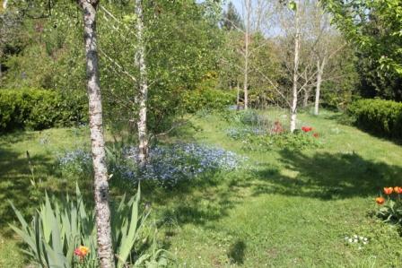 TOURAINE: entre Tours, Amboise et Blois, vente d'une ancienne auberge entièrement rénovée.