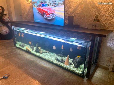 Aquarium de 600l