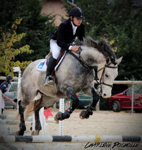 Propose 1/3 ou 1/2 pension sur PSA de 8 ans