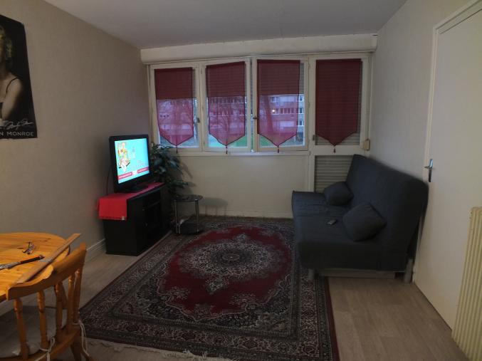 T2 meublé - 45 m2 - quartier triangle