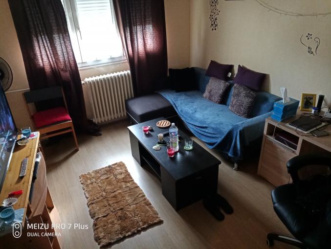 Colocation bonne ambiance