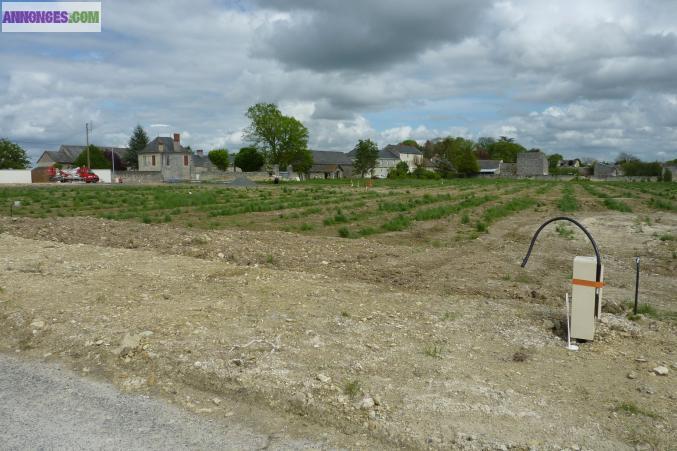 Terrain viabilisé Courchamps