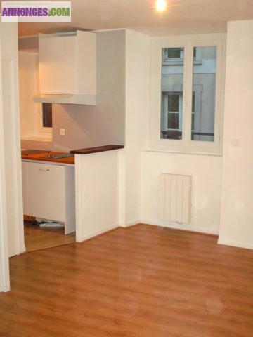 T1 AVEC GRANDE TERRASSE