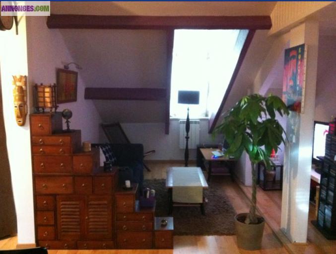 3 pieces bien agencé à bagneux