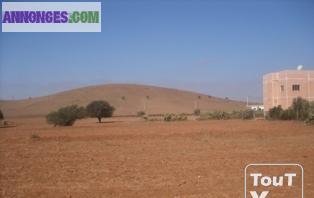 Terrain de 5640m2 a Chtouka ait baha