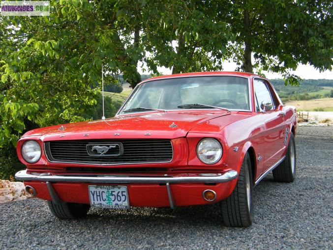 Ford mustang