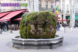 Loue bureaux Cours Mirabeau