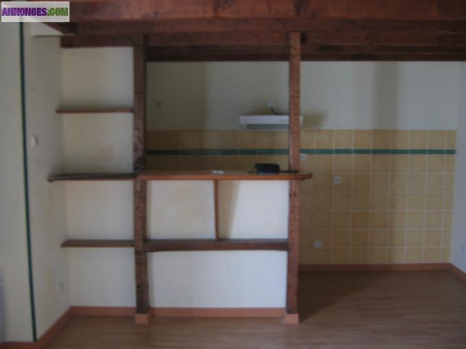 Vente appt duplex type 2