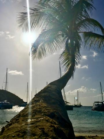 Croisière privé sur notre catamaran