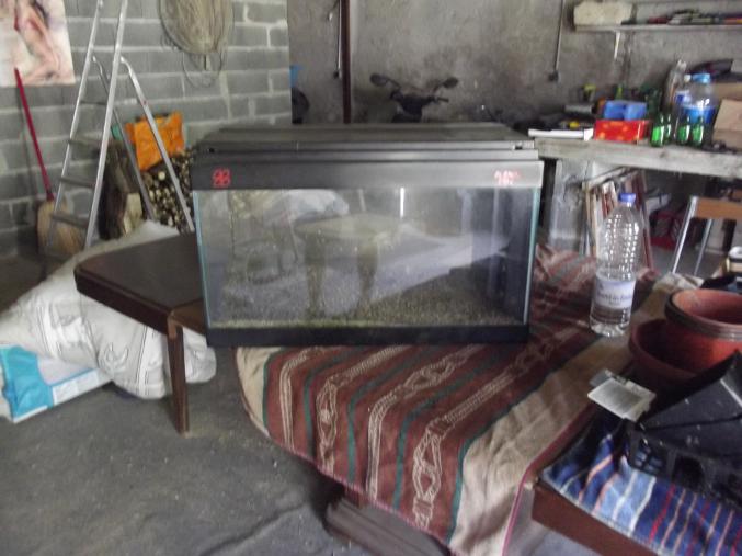 Aquarium+accessoire
