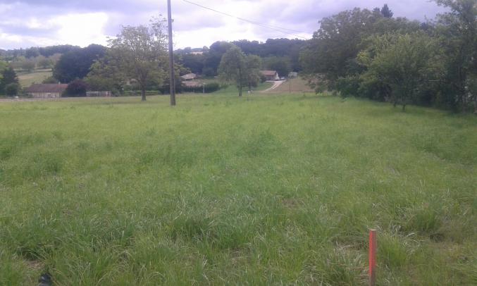 Terrain constructible