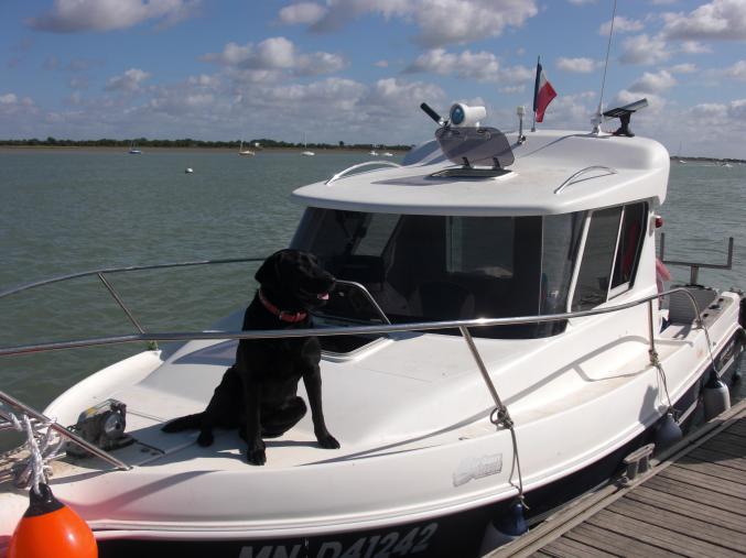 Bateau AQUALINE 640 Timonier Pêche/Promenade