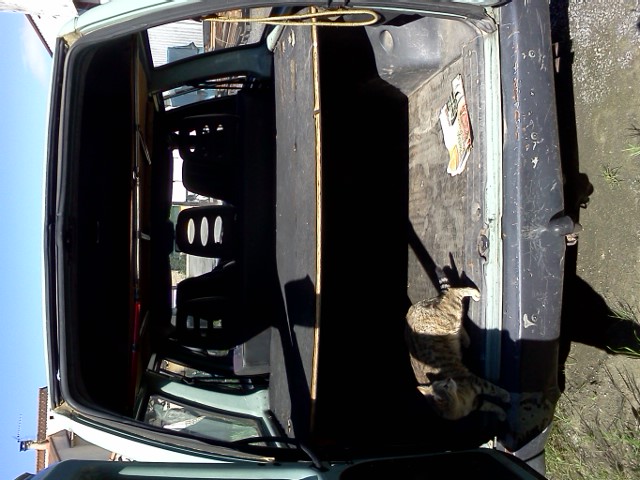 Expert peugeot n1.9 td