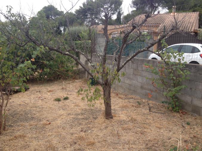 Terrain Nîmes Montée des Alpins