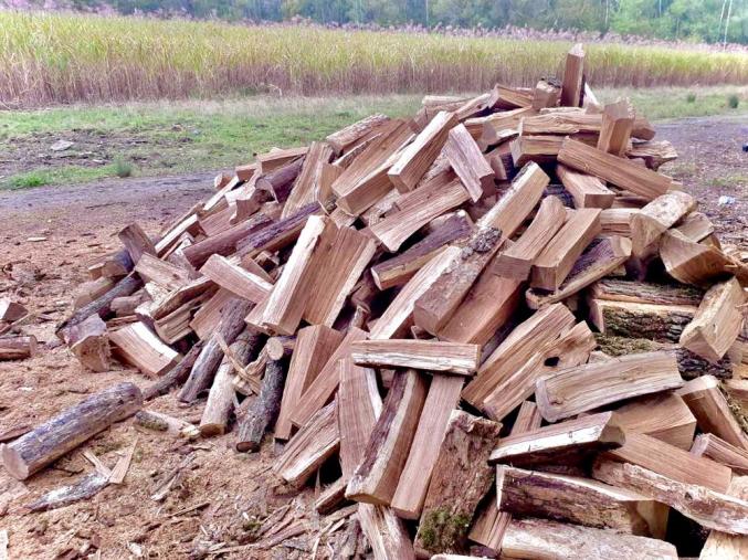  Bois de chauffage sec de qualité