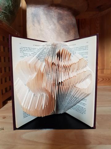 Livre plié