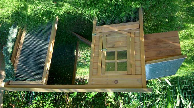 Vends ensemble poulailler, filet,accessoires et poule