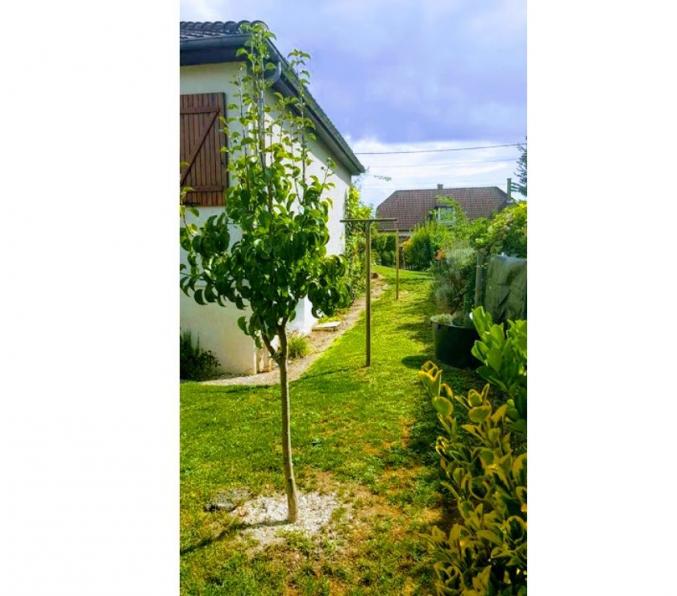 Maison, clim, cheminée, garage, jardin 553 M2