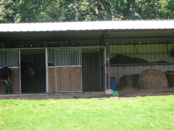 Cédons 4 ha de pâtures