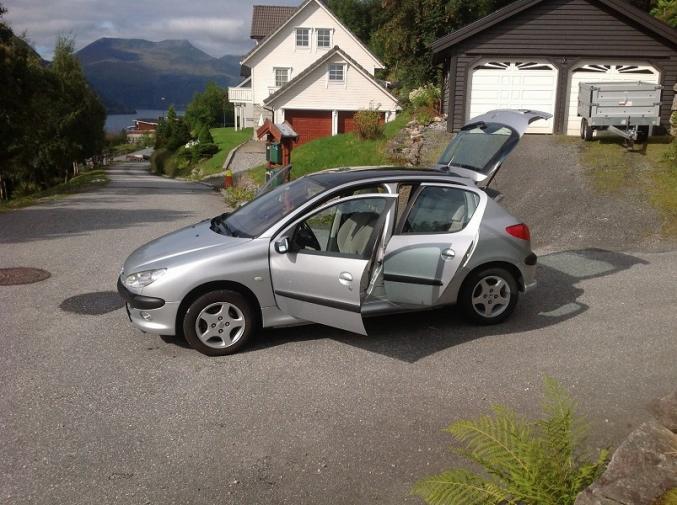 Très belle Peugeot 206 1.9 