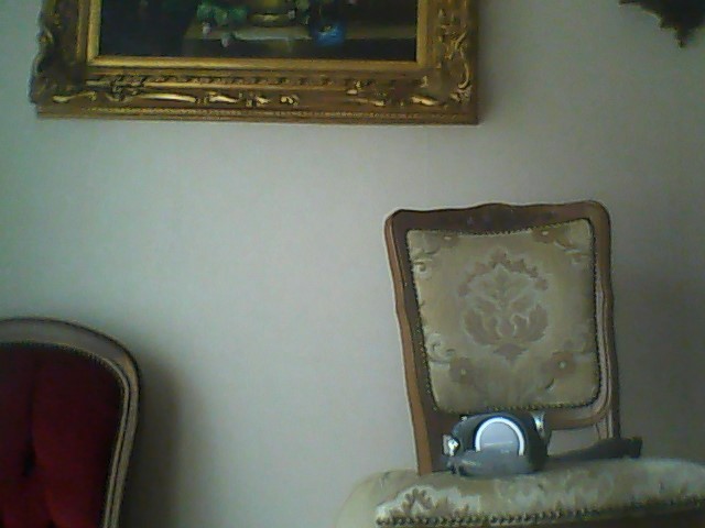 Camescope sony dvd haydecam