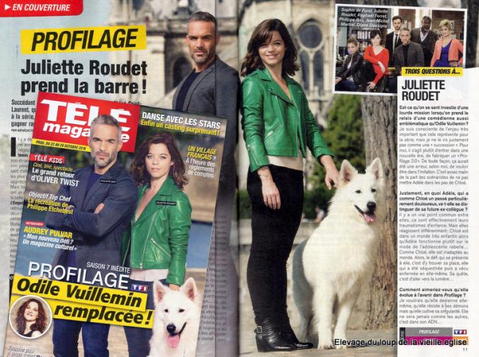 Chiots Berger Blanc Suisse à poils longs LOF