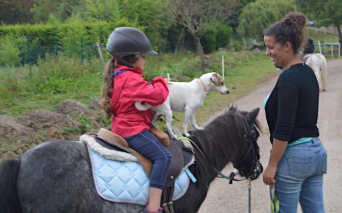 Cous sur Poneys Shetlands