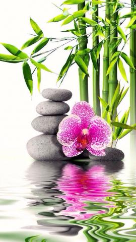 Recherche location à l'année