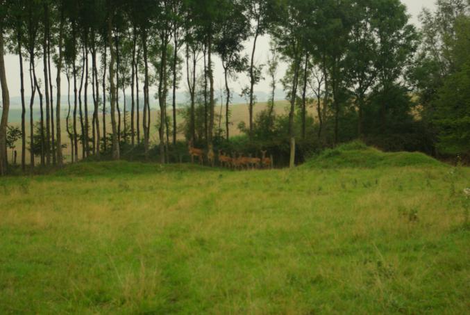 Cédons 4 ha de pâtures