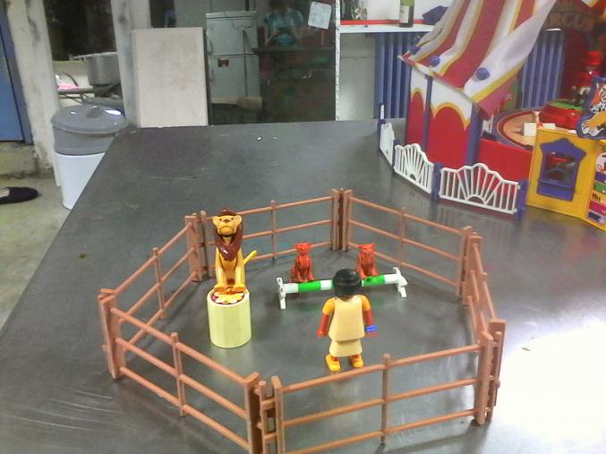 Cirque playmobil
