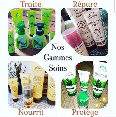 Vendeur a domicile indépendant