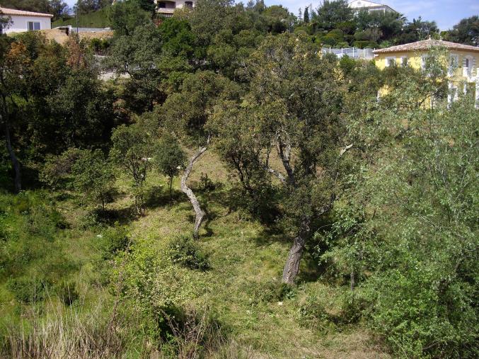 Terrain constructible