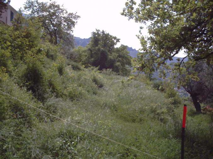 A SAISIR SUPERBE TERRAIN CONSTRUCTIBLE ET VIABILISE