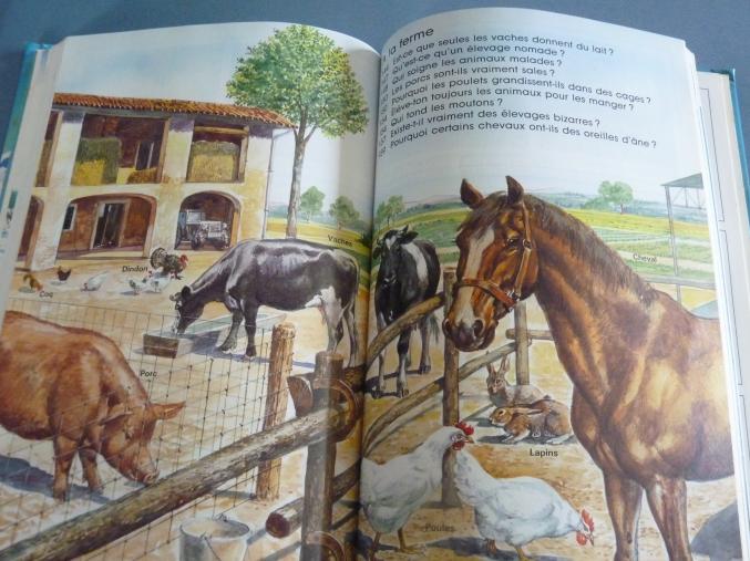 Livre enfant Animaux questions réponse nathan TBE