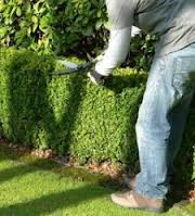 Entretien de votre jardin