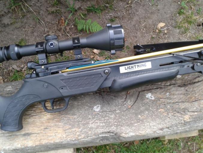 Arbalète à poulies