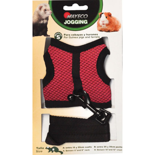 Harnais pour les furets et les cochons d'Inde Jogging, taille S