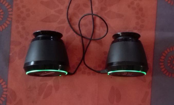 Razer Ferox Enceinte Portable Gaming