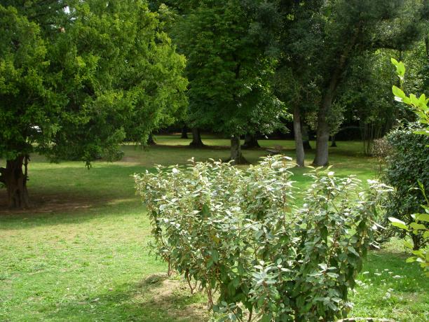 La Baule-Escoublac - Location 400m plage benoit La Baule