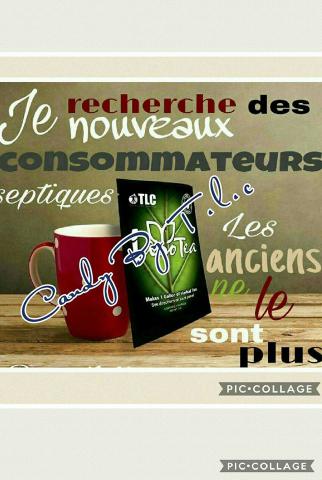 Minceur,Bien-être,Beauté,Santer Détox