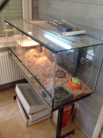 Tortue et sont vivarium terrarium 