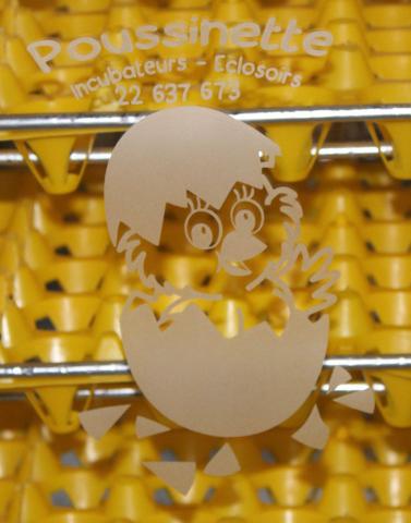 Incubateur couveuse matériel pour élevage poule