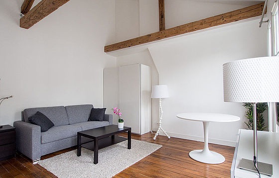 Appartement 1 pièce avec ascenseur dans le Marais