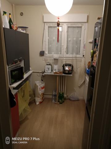 Colocation bonne ambiance