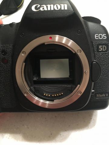 Canon EOS 5D MarkII très bon état