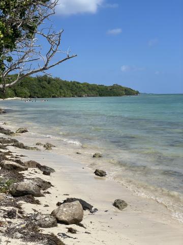 A vendre magnifique Villa à Saint François Guadeloupe
