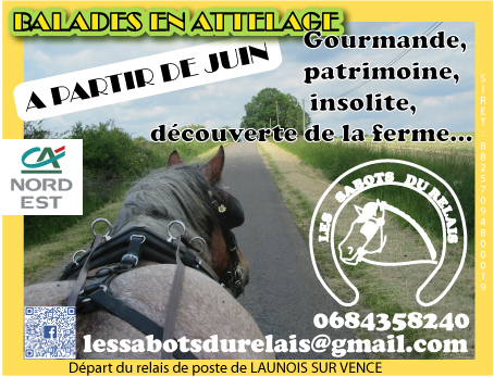 Balades en calèches