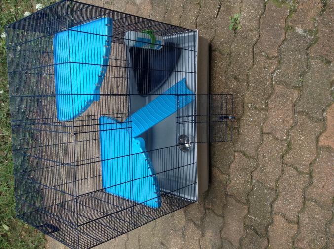 Grande cage à rat