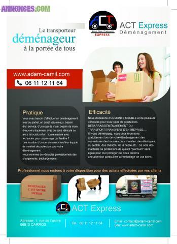 Transporteur demenageur