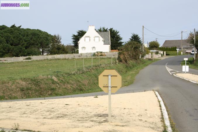 Terrain constructible